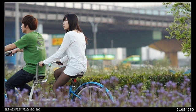 三重新北大橋,幸福水漾公園試A33連拍