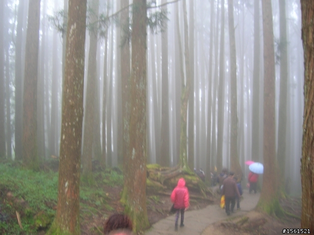2011-0326阿里山霧中獨騎