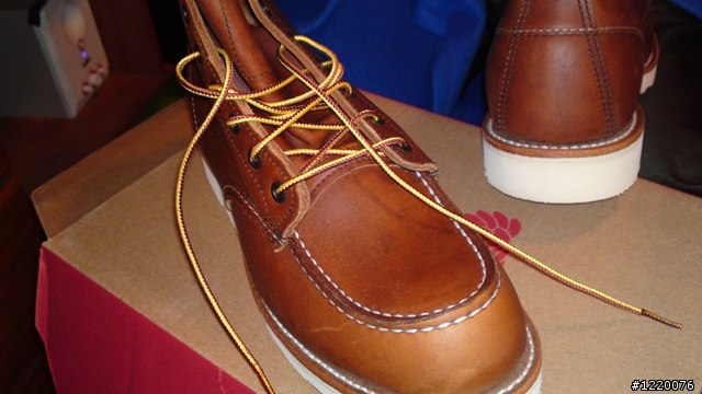 Red Wing 875開箱 + 兩個月大的8131