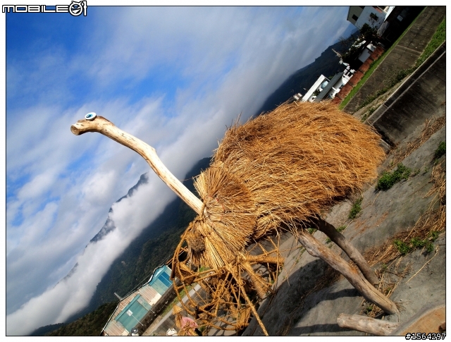 分享先前(單車遊記) 台東關山花海之旅  仿如國外景點