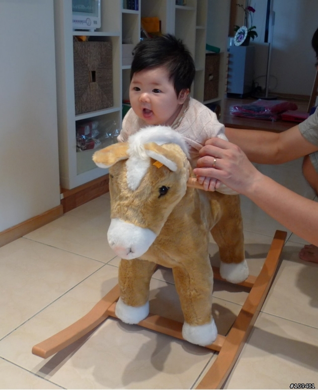 steiff 搖搖馬...(算逸品吧!!)