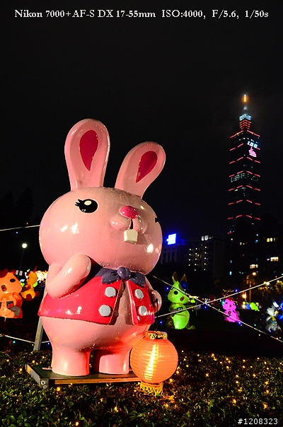 D7000拍2011燈會經驗分享(台北燈會&苗栗台灣燈會)