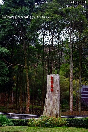 <BROMPTON與我的小旅行>冬訪惠蓀