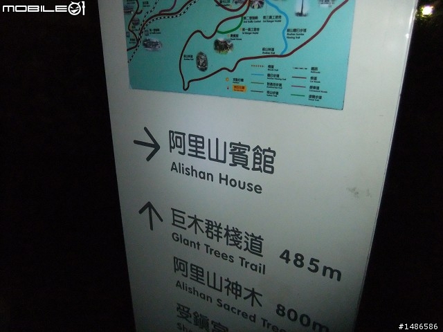 賞櫻花