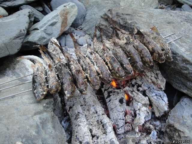 野溪泡湯兼釣苦花