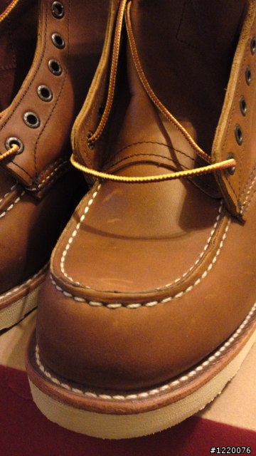 Red Wing 875開箱 + 兩個月大的8131