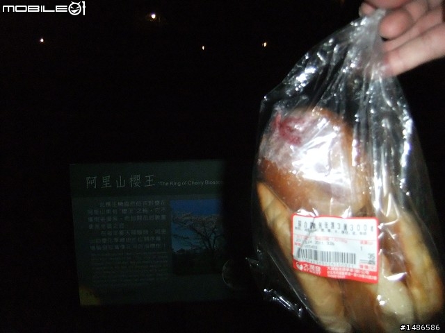 賞櫻花