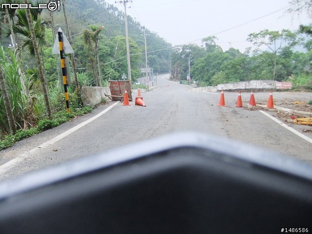 賞櫻花