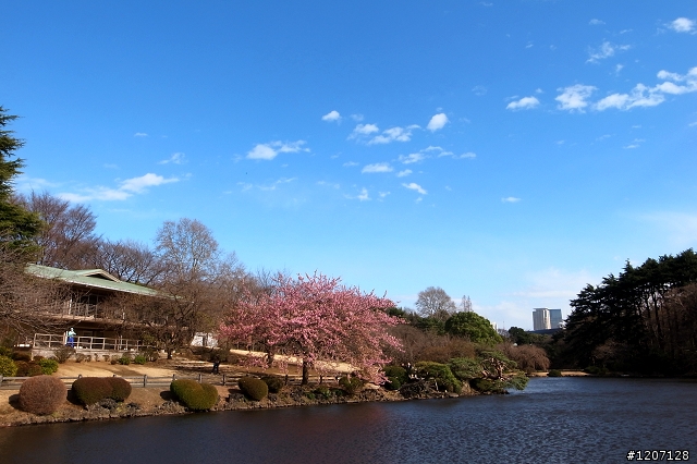 Mobile01小惡魔"挺進" 東京 [圖多]