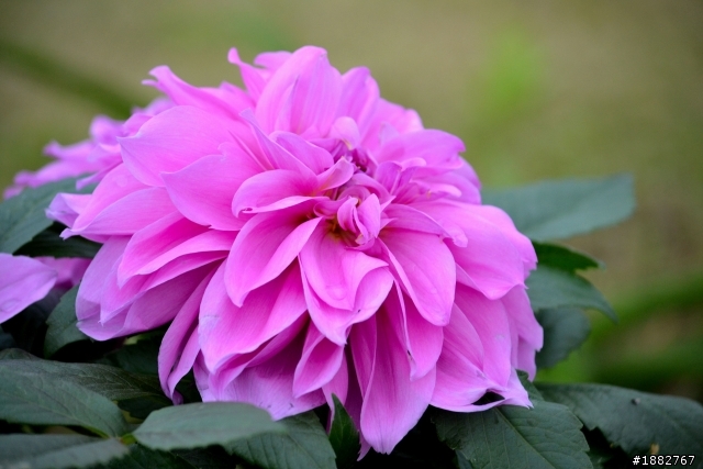 D3100 大樓加蓋 新手請多包涵