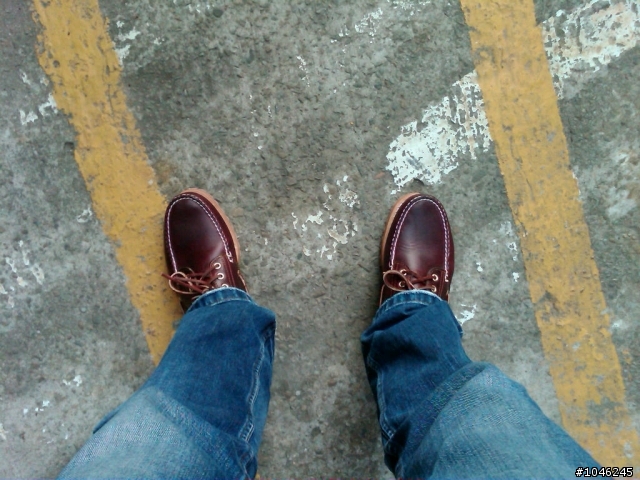 【分享】2011年新春敗家：TIMBERLAND 雷根鞋(50009) + PUMA Cell Voltra Jamaica+【補-踢不爛實穿照】