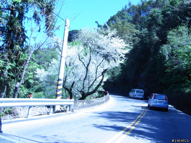 佛克司之油耗天堂與地獄~之賞櫻之旅(天堂地獄又回人間)