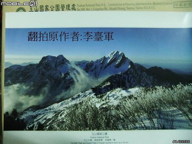 賞櫻花