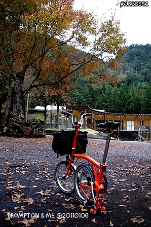 <BROMPTON與我的小旅行>冬訪惠蓀