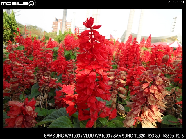 2011 03 12 高雄 中央公園隨拍～