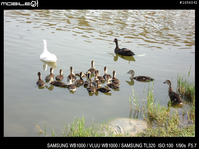 2011 03 12 高雄 中央公園隨拍～