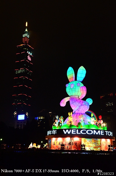 D7000拍2011燈會經驗分享(台北燈會&苗栗台灣燈會)