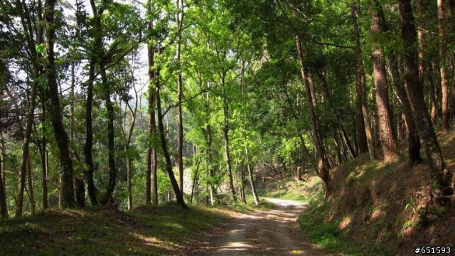 20110226來去高雄寶來小關山林道off road