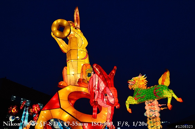 D7000拍2011燈會經驗分享(台北燈會&苗栗台灣燈會)