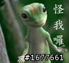 "海斯勒"粉絲樓