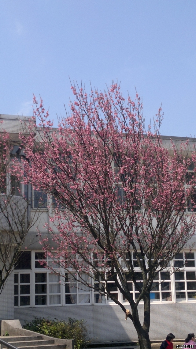 陽明山之旅