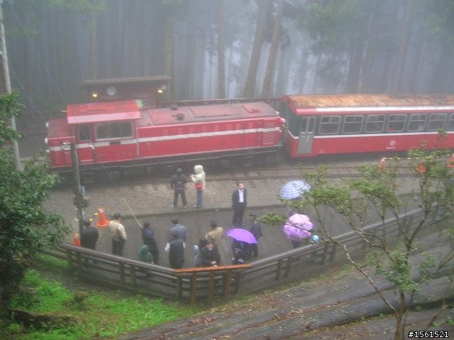 2011-0326阿里山霧中獨騎
