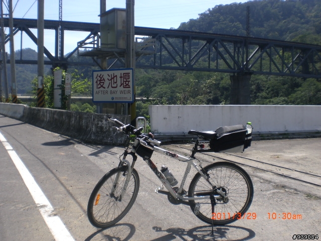 329青年節，苗栗縣桐花綠廊自行車道之行