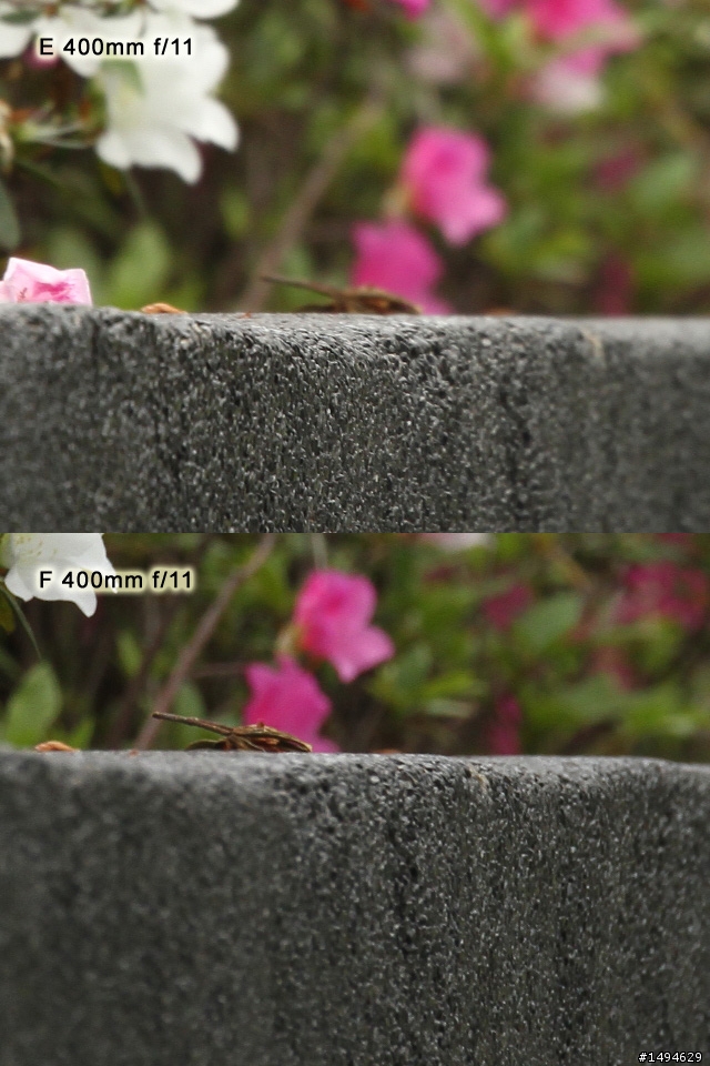 [實拍測試] Canon 四支原廠望遠變焦鏡頭畫質比較 (圖非常多)