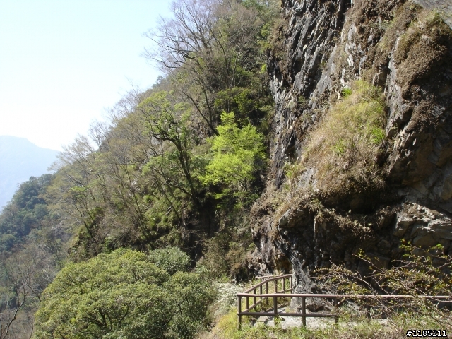 玉山國家公園八通關古道紀行第二章【雲龍瀑布仙境傳說】