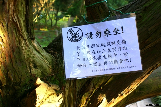 陽明山花卉試驗中心（圖多）