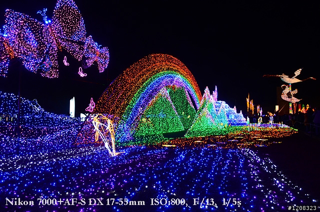 D7000拍2011燈會經驗分享(台北燈會&苗栗台灣燈會)