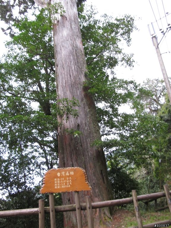 新竹五峰+尖石兩日遊(更新完成)