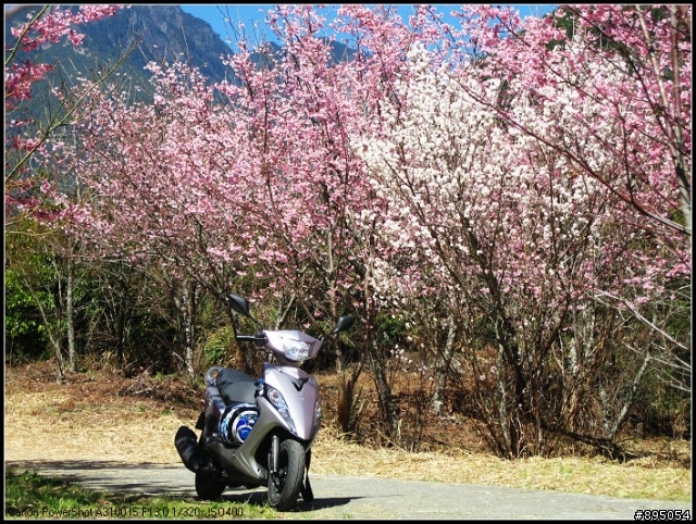RS-ZERO試駕報告