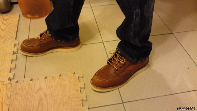 Red Wing 875開箱 + 兩個月大的8131