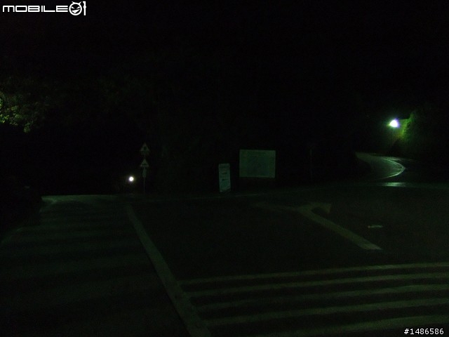 賞櫻花