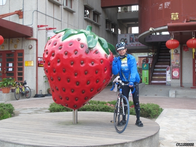 不想等到81歲才環島之-不管了環島去2/25~3/5