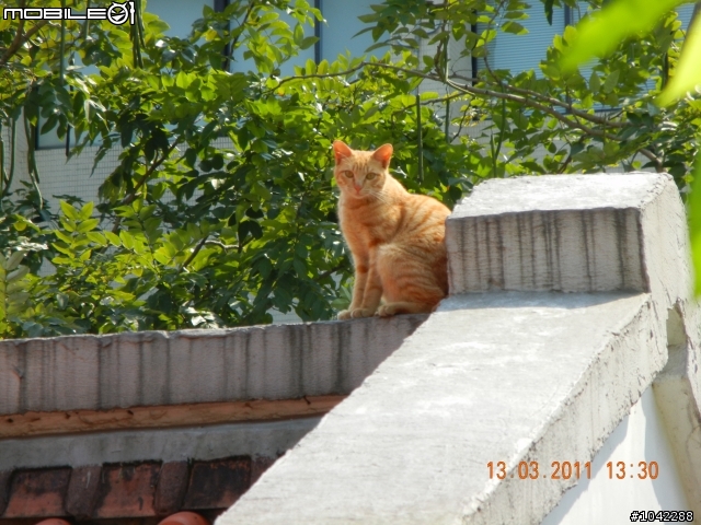 [開箱+實拍]NIKON COOLPIX S8100美型旅遊機(文長圖多慎入)