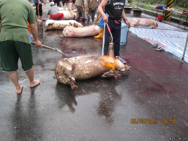 02/28-03/05 單車版不老騎士六天美麗寶島環島行----Day 6 完結篇 一生必騎絕美蘇花公路+夜逛北市