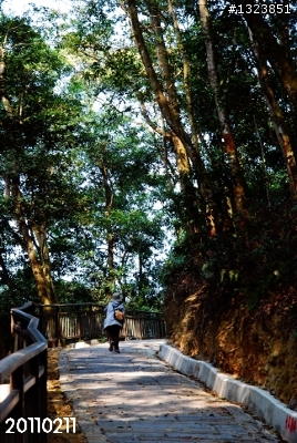 下一站，139（20110319補上二輪木屋後方已鋪上柏油的好漢坡、四面佛寺內陡坡與挑水古道新路線照片）
