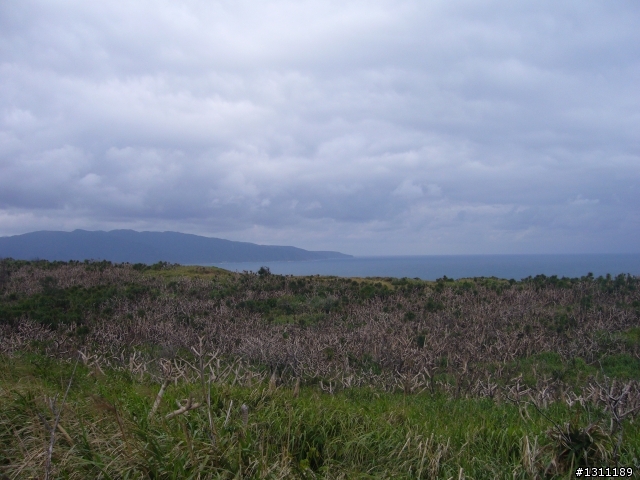 光陽many100 環島10天9夜，共計1861KM。(下集)