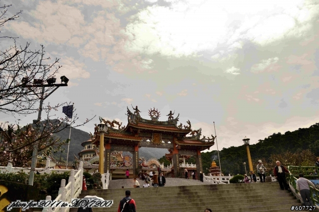 d3100 賞櫻之旅  新手貼