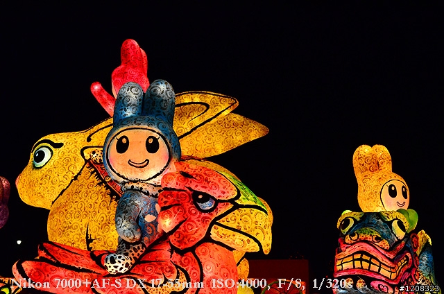 D7000拍2011燈會經驗分享(台北燈會&苗栗台灣燈會)