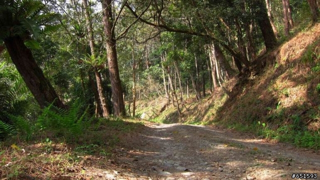 20110226來去高雄寶來小關山林道off road