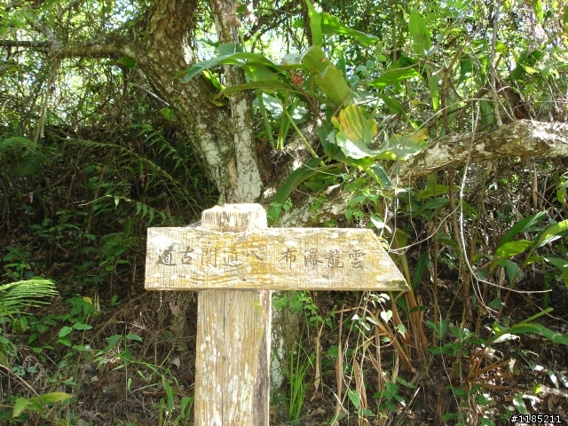 玉山國家公園八通關古道紀行第二章【雲龍瀑布仙境傳說】