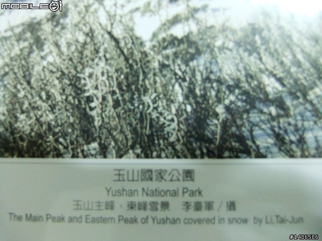 賞櫻花