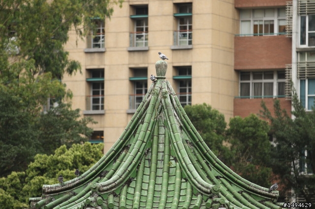 [實拍測試] Canon 四支原廠望遠變焦鏡頭畫質比較 (圖非常多)