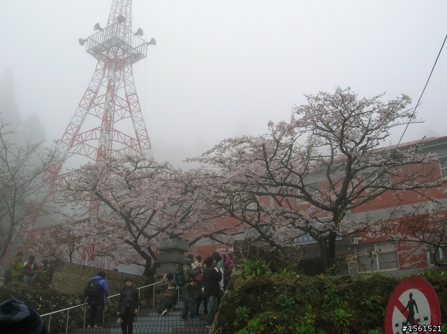 2011-0326阿里山霧中獨騎