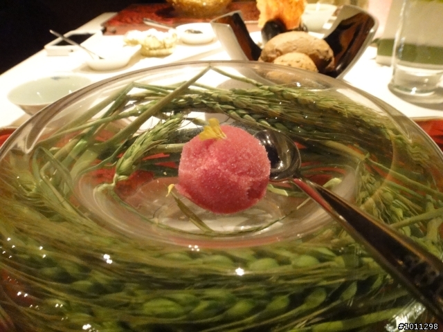 abu authentic cuisine阿布餐廳