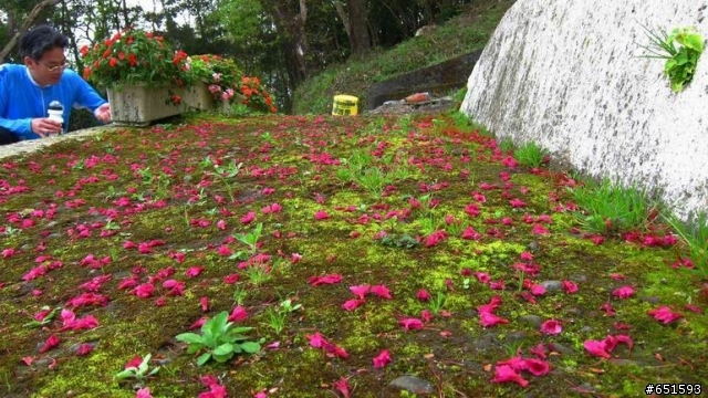 20110226來去高雄寶來小關山林道off road