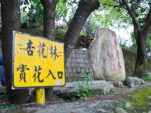 [景點分享] 木柵貓空杏花林賞花行